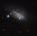 A galaxia irregular IC 3583 ten unha barra de estrelas que discorre polo seu centro.[9]