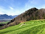 Steinberg (Chiemgauer Alpen)