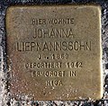 Johanna Liepmannssohn, Martinstraße 8, Berlin-Steglitz, Deutschland