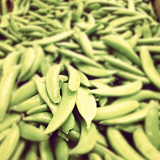 <span class="mw-page-title-main">Snap pea</span>