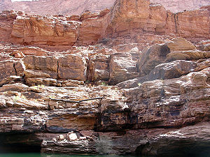 Tan- to cream-colored layer cliff face مجموعة طبقات سوباي وعليها جزوع أشجار أزاحها طوفان النهر.