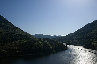 <span class="mw-page-title-main">Svartediket</span> Lake in Bergen, Norway