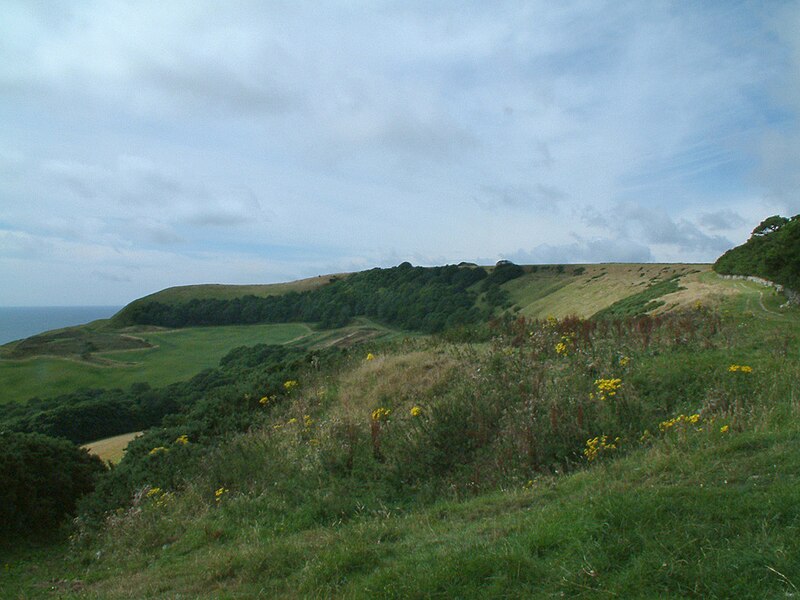 File:Swyre Head.jpg