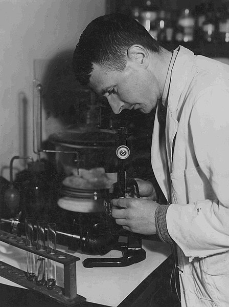 File:Sydney Walter Josland - Wallaceville Animal Research Centre - 1934.JPG