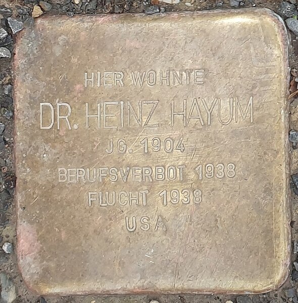 File:Tübingen Stolpersteine Hayum Heinz.jpg