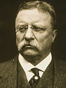 Voormalig President Theodore Roosevelt uit New York Progressieve Partij