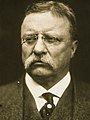 T Roosevelt (closeincropped 3x4).jpg