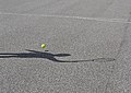 tenis practice