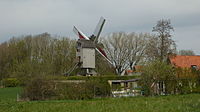 Terdeghem.- le Moulin de la Roome