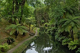 Parque Terra Nostra