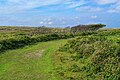 Texel - August 2008 View on Nature Reserve 'De Bollekamer' (the trees disappeared later on because of Highland cattle) 05.jpg