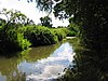 De Heilige Brook naar het zuiden van Calcot.jpg