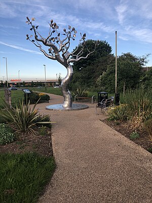 The World Tree on the south-eastern corner of the A563 Leicester outer ring road (Troon Way) at the crossroads in Rushey Mead The World Tree Leicester.jpg
