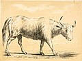The alphabetical drawing book, and pictorial history. (of quadrupeds (1847) (17921893510).jpg