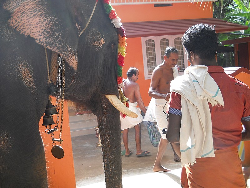 File:Thrissur Pooram Choorakkottukaavu Anappara 2011 DSCN2651.JPG