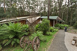 <span class="mw-page-title-main">Toolangi Forest Discovery Centre</span> Forest education hub in Victoria, Australia