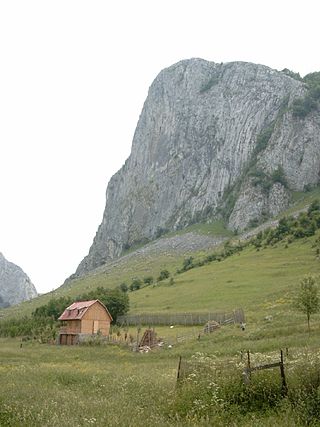 <span class="mw-page-title-main">Apuseni Mountains</span> Mountains in Romania
