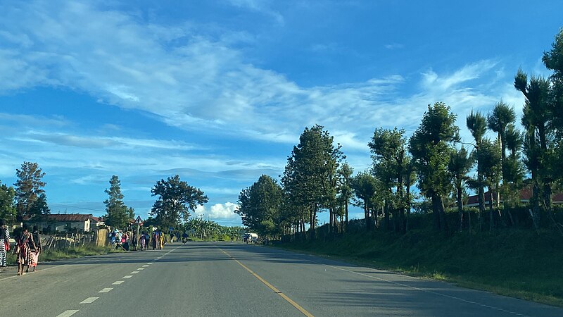 File:Trees besides Bushenyi to Kasese road in Kyamuhunga town council in bushenyi.jpg