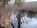 Tuckahoe River (New Jersey)