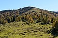 * Nomination Hochanger mountain near Turnau, Styria, Austria – view from alpine pasture Göriacher Alm --Uoaei1 05:46, 27 November 2017 (UTC) * Promotion Good quality. -- Johann Jaritz 07:33, 27 November 2017 (UTC)