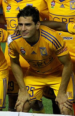 UANL Tigres 2015 - copia (5).jpg