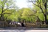 AQSh-NYC-Central Park-The Mall0.JPG