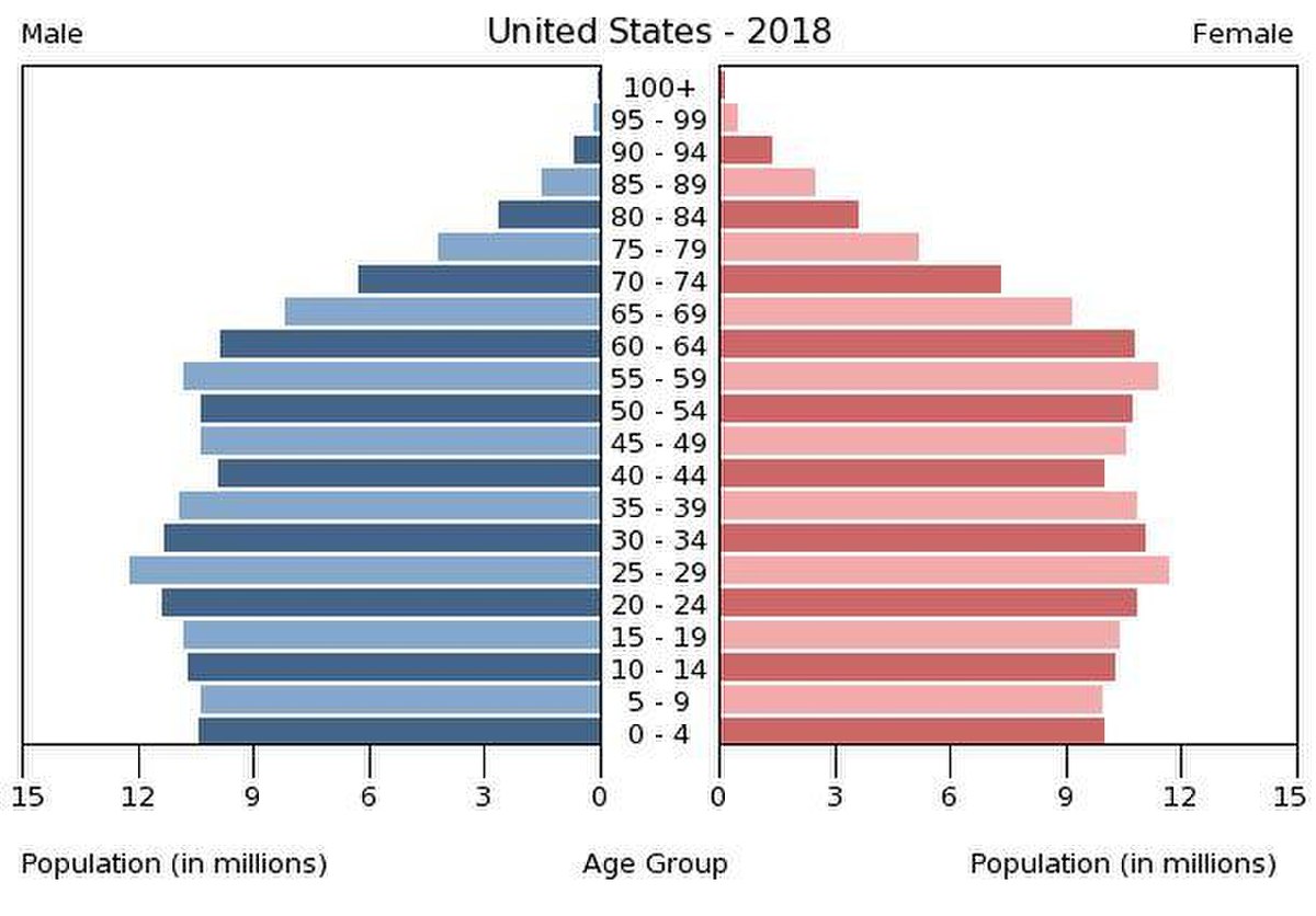 US population pyramid （2018).jpg