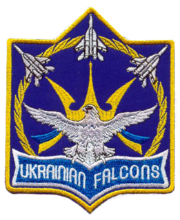 Ukrainian Falcons Military unit