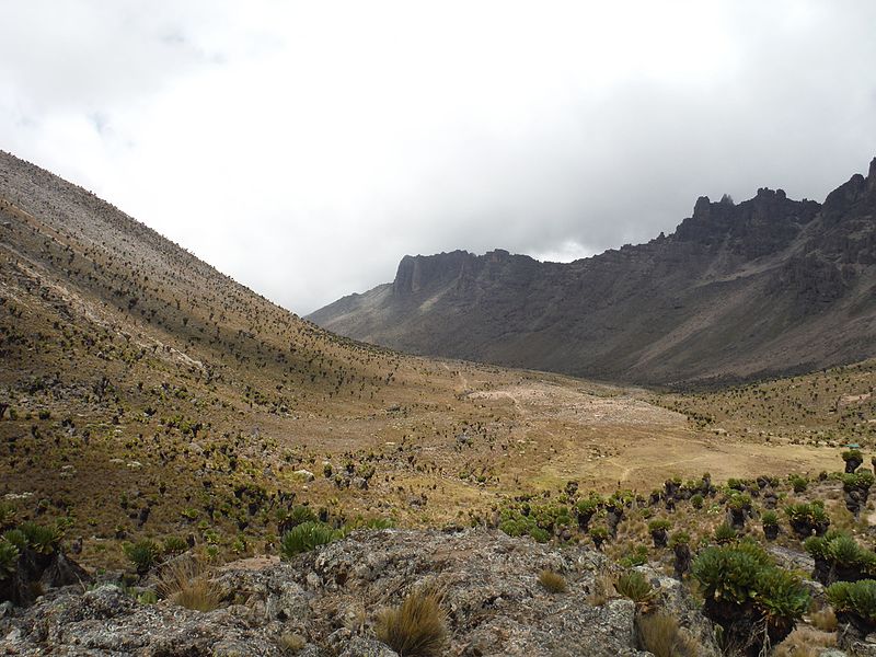 File:Undulated features, Mt. Kenya.jpg