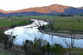 A late afternoon view of the Murray, between Wymah and Jingellic, from the NSW side.