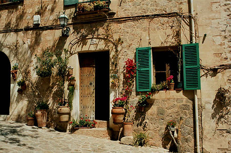 Valldemossa flower.jpg