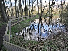 Moorbachaue bei Hochwasser