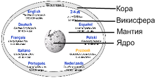 Структура Вікіпедії