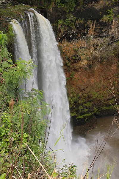 File:Wailua Falls, Maalo Rd, Kapaa (503177) (17125523156).jpg