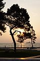 Water front, Thessaloniki - panoramio - Colin W.jpg