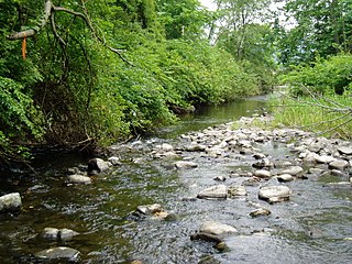 West Branch Papakating Creek