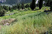 Western stoa of Delphi 1.jpg
