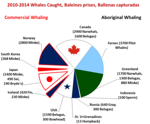 Whales caught 2010-2014, by country Whales caught recently.png