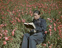 A man relaxing with a book Wing Commander Guy Gibson VC, Commanding Officer of No. 617 Squadron (The Dambusters) at Scampton, 22 July 1943. TR1125.jpg