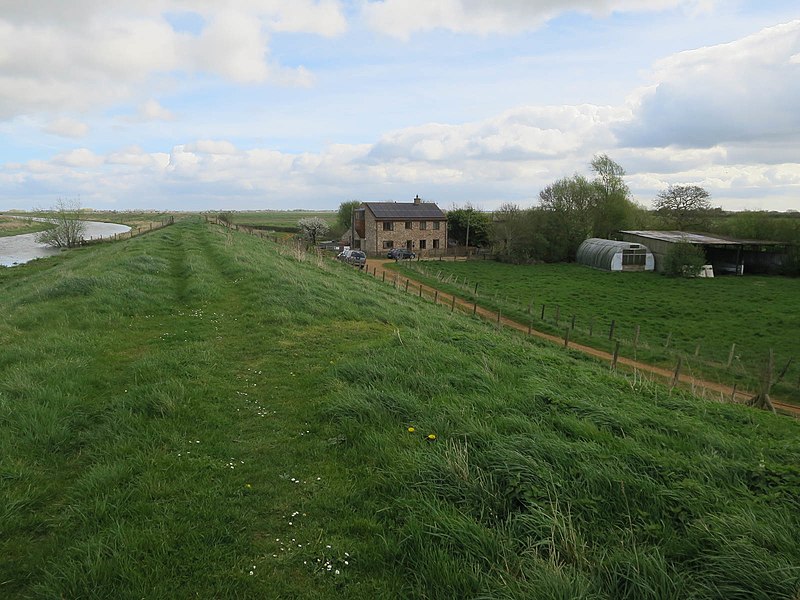 File:Witcham Gravel (geograph 5380892).jpg