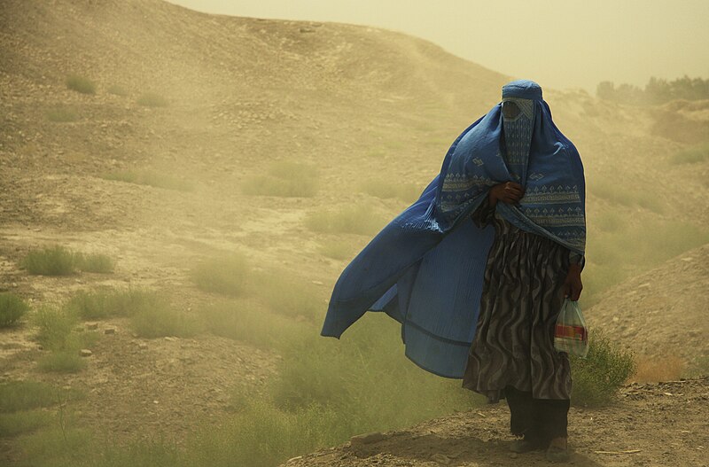 File:Woman with Burqa (4324680171) (2).jpg