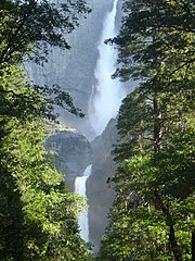 Yosemite Falls framed by trees