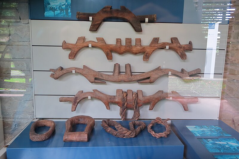 File:Yugos, Museo del Pueblo de Asturias.jpg