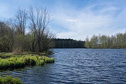 Yuntolovka v květnu