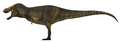 Zhuchengtyrannus