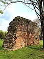 Fragment im Botanischen Garten