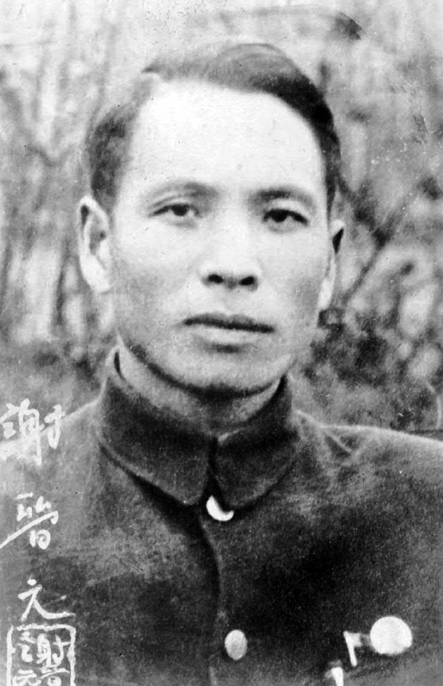 Xie Jinyuan - Wikidata