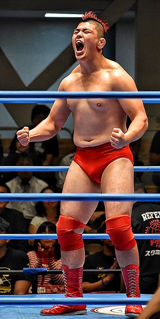 <span class="mw-page-title-main">Dan Tamura</span> Japanese professional wrestler