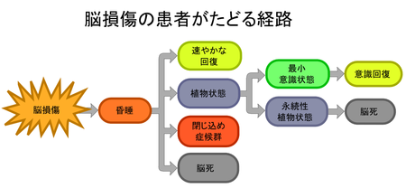 遷延性意識障害 Wikipedia