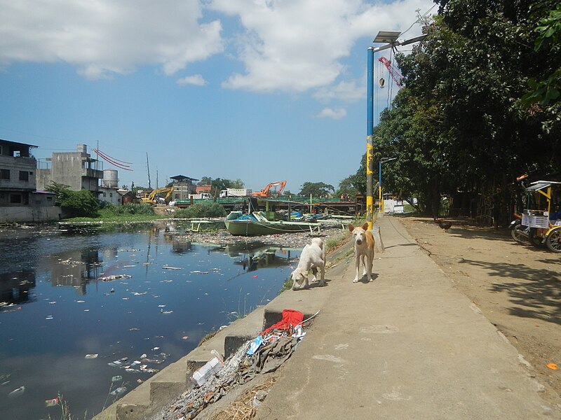 File:1089Garbage-plastic pollution in Marilao River 06.jpg